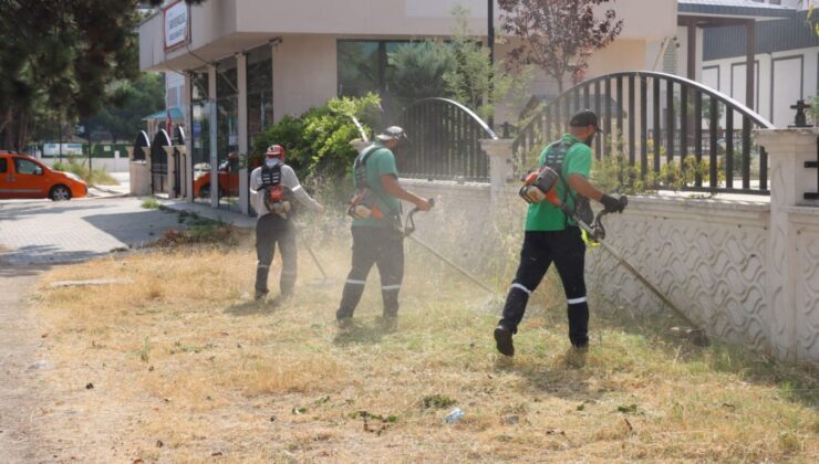 Yalova Belediyesi’nden Kapsamlı Ot Biçme Çalışması