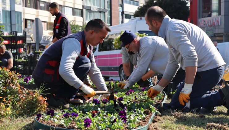 Mevsimlik Çiçekler Dikiliyor