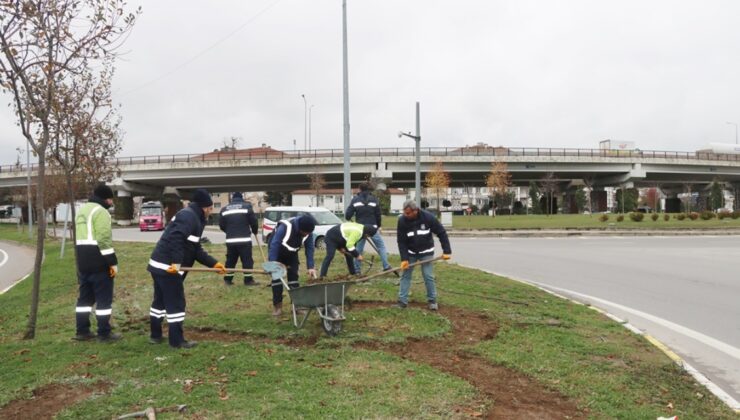 Peyzaj Ve Budama Çalışmaları Devam Ediyor