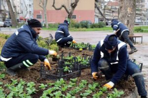 Yalova Belediyesi'Nden Kışa Özel Peyzaj Çalışması