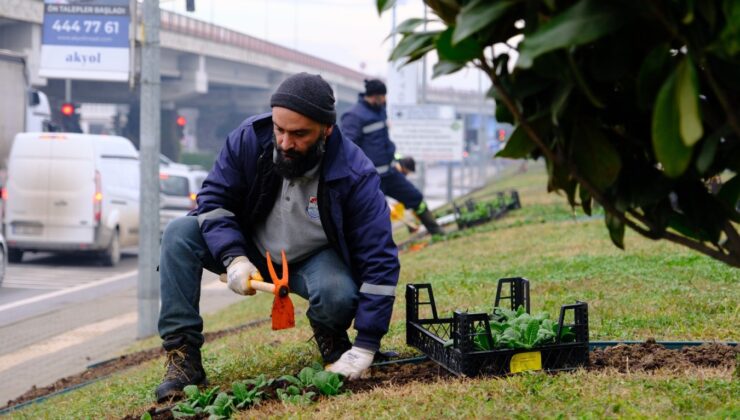 Yalova Belediyesi’nden Yeşil Alanlarda Peyzaj Çalışması