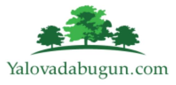 Yalovadabugun.com – Son Dakika Yalova Haberleri